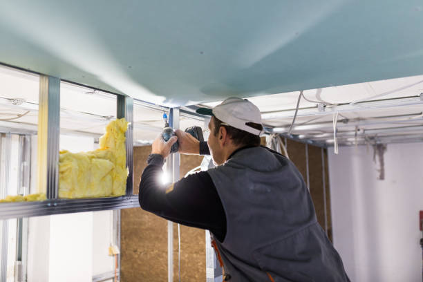 Best Geographic-Specific Insulation Services in East Rochester, NY